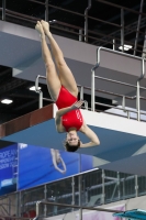 Thumbnail - 2019 - Alpe Adria Trieste - Diving Sports 03038_05794.jpg