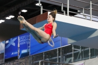 Thumbnail - 2019 - Alpe Adria Trieste - Diving Sports 03038_05795.jpg