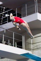 Thumbnail - 2019 - Alpe Adria Trieste - Diving Sports 03038_05803.jpg