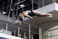 Thumbnail - 2019 - Alpe Adria Trieste - Diving Sports 03038_05864.jpg