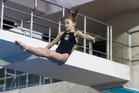 Thumbnail - 2019 - Alpe Adria Trieste - Diving Sports 03038_05900.jpg