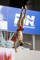 Thumbnail - 2019 - Alpe Adria Trieste - Diving Sports 03038_05981.jpg