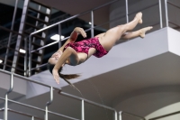 Thumbnail - 2019 - Alpe Adria Trieste - Diving Sports 03038_05990.jpg