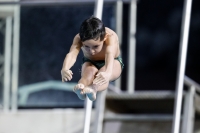 Thumbnail - 2019 - Alpe Adria Trieste - Diving Sports 03038_06057.jpg