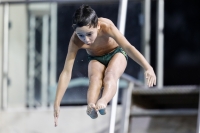 Thumbnail - 2019 - Alpe Adria Trieste - Diving Sports 03038_06135.jpg