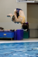 Thumbnail - 2019 - Alpe Adria Trieste - Plongeon 03038_06382.jpg