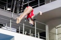 Thumbnail - 2019 - Alpe Adria Trieste - Diving Sports 03038_06415.jpg