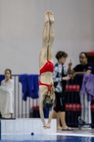 Thumbnail - 2019 - Alpe Adria Trieste - Diving Sports 03038_06464.jpg