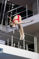 Thumbnail - 2019 - Alpe Adria Trieste - Plongeon 03038_06475.jpg