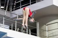 Thumbnail - 2019 - Alpe Adria Trieste - Diving Sports 03038_06532.jpg