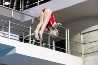 Thumbnail - 2019 - Alpe Adria Trieste - Diving Sports 03038_06533.jpg