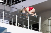 Thumbnail - 2019 - Alpe Adria Trieste - Diving Sports 03038_06549.jpg