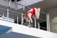 Thumbnail - 2019 - Alpe Adria Trieste - Diving Sports 03038_06551.jpg