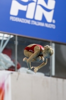 Thumbnail - 2019 - Alpe Adria Trieste - Diving Sports 03038_06560.jpg