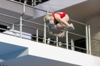 Thumbnail - 2019 - Alpe Adria Trieste - Diving Sports 03038_06568.jpg