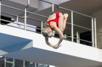 Thumbnail - 2019 - Alpe Adria Trieste - Diving Sports 03038_06570.jpg