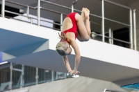 Thumbnail - 2019 - Alpe Adria Trieste - Diving Sports 03038_06571.jpg