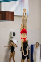 Thumbnail - 2019 - Alpe Adria Trieste - Diving Sports 03038_06608.jpg