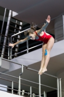 Thumbnail - 2019 - Alpe Adria Trieste - Diving Sports 03038_06687.jpg