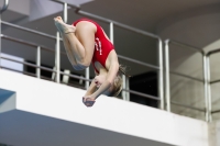 Thumbnail - 2019 - Alpe Adria Trieste - Diving Sports 03038_06798.jpg