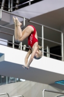 Thumbnail - 2019 - Alpe Adria Trieste - Plongeon 03038_06815.jpg