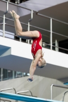 Thumbnail - 2019 - Alpe Adria Trieste - Plongeon 03038_06816.jpg