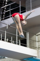 Thumbnail - 2019 - Alpe Adria Trieste - Diving Sports 03038_06833.jpg