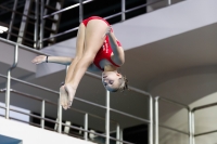 Thumbnail - 2019 - Alpe Adria Trieste - Diving Sports 03038_06836.jpg