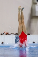 Thumbnail - 2019 - Alpe Adria Trieste - Diving Sports 03038_06855.jpg