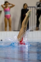 Thumbnail - 2019 - Alpe Adria Trieste - Diving Sports 03038_06956.jpg