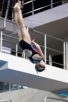 Thumbnail - 2019 - Alpe Adria Trieste - Diving Sports 03038_07019.jpg