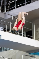 Thumbnail - 2019 - Alpe Adria Trieste - Diving Sports 03038_07029.jpg