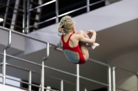 Thumbnail - 2019 - Alpe Adria Trieste - Diving Sports 03038_07064.jpg