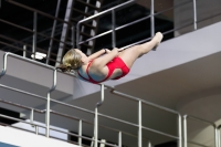 Thumbnail - 2019 - Alpe Adria Trieste - Diving Sports 03038_07085.jpg