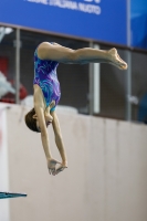 Thumbnail - 2019 - Alpe Adria Trieste - Diving Sports 03038_07148.jpg