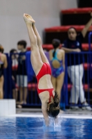 Thumbnail - 2019 - Alpe Adria Trieste - Diving Sports 03038_07167.jpg