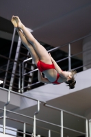 Thumbnail - 2019 - Alpe Adria Trieste - Diving Sports 03038_07176.jpg