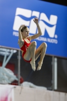 Thumbnail - 2019 - Alpe Adria Trieste - Diving Sports 03038_07207.jpg