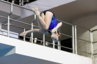 Thumbnail - 2019 - Alpe Adria Trieste - Plongeon 03038_07256.jpg