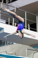 Thumbnail - 2019 - Alpe Adria Trieste - Plongeon 03038_07259.jpg