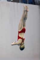 Thumbnail - 2019 - Alpe Adria Trieste - Diving Sports 03038_07273.jpg