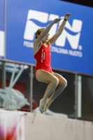 Thumbnail - 2019 - Alpe Adria Trieste - Diving Sports 03038_07335.jpg