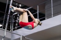 Thumbnail - 2019 - Alpe Adria Trieste - Plongeon 03038_07351.jpg