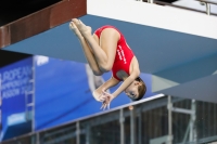 Thumbnail - 2019 - Alpe Adria Trieste - Diving Sports 03038_07365.jpg