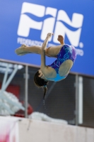 Thumbnail - 2019 - Alpe Adria Trieste - Diving Sports 03038_07429.jpg