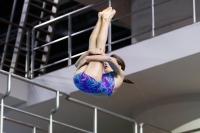 Thumbnail - 2019 - Alpe Adria Trieste - Diving Sports 03038_07436.jpg