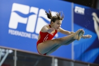 Thumbnail - 2019 - Alpe Adria Trieste - Diving Sports 03038_07446.jpg