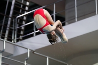 Thumbnail - 2019 - Alpe Adria Trieste - Diving Sports 03038_07450.jpg