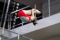 Thumbnail - 2019 - Alpe Adria Trieste - Diving Sports 03038_07451.jpg