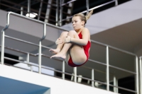 Thumbnail - 2019 - Alpe Adria Trieste - Diving Sports 03038_07521.jpg